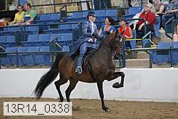 13r14_0338 proof