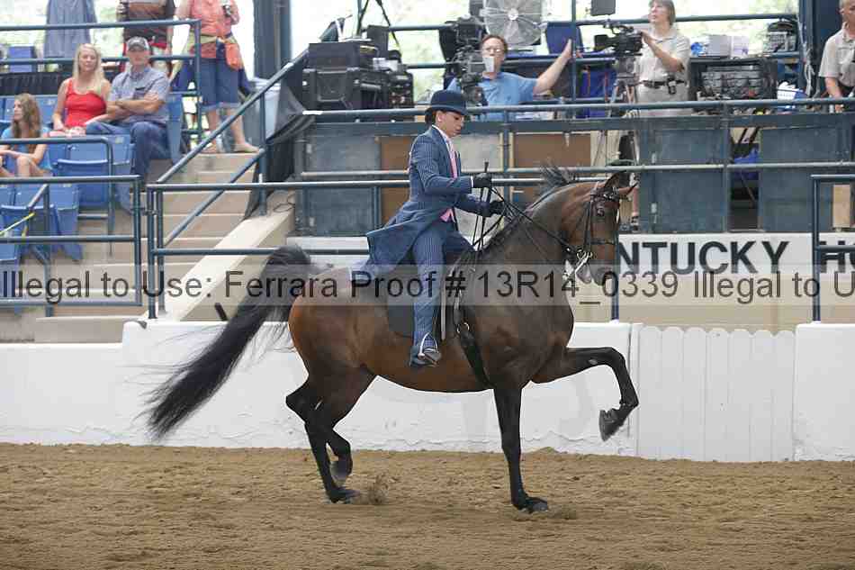 Proof 13r14_0339