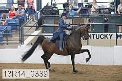 13r14_0339 proof
