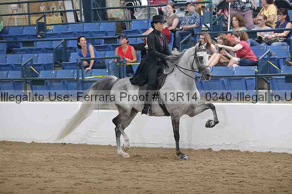 Proof 13r14_0340