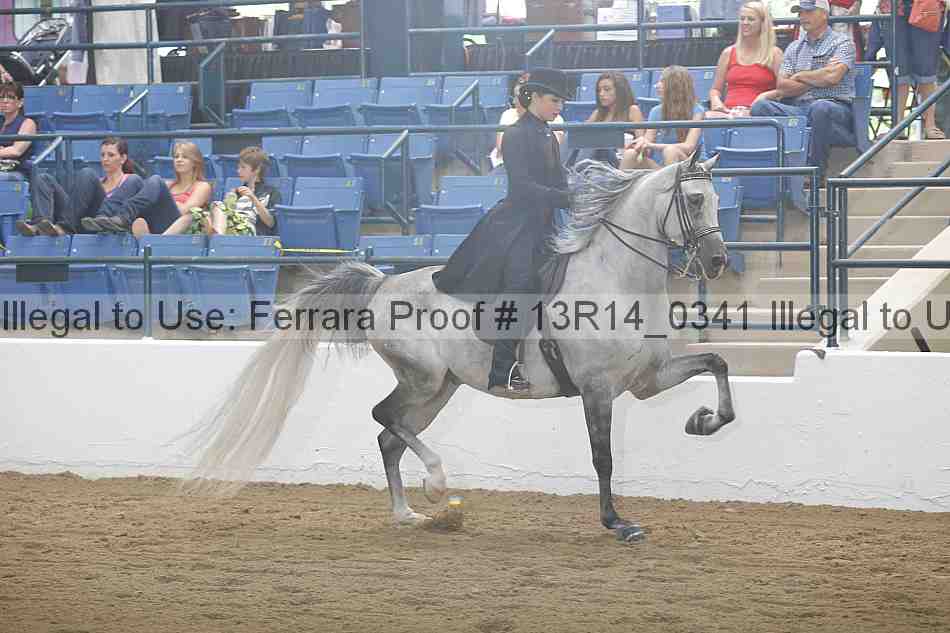 Proof 13r14_0341