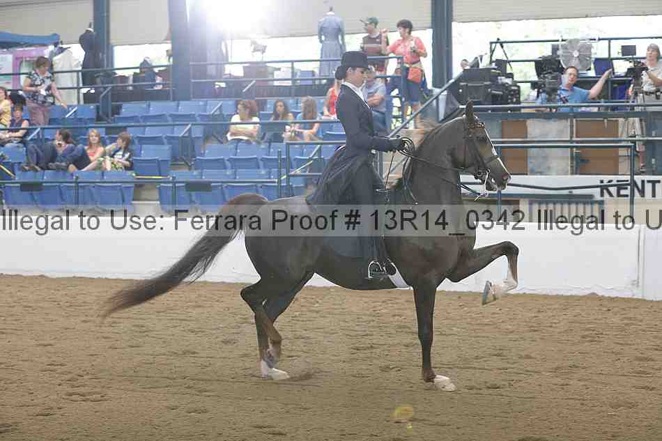 Proof 13r14_0342