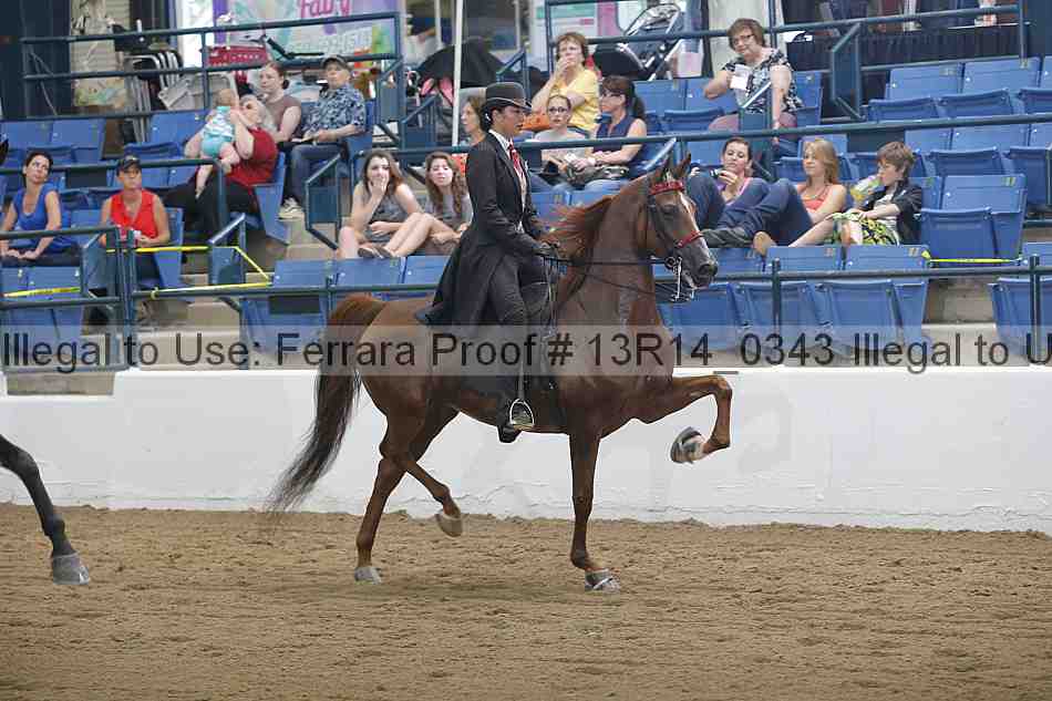 Proof 13r14_0343