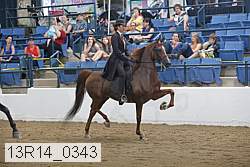 13r14_0343 proof