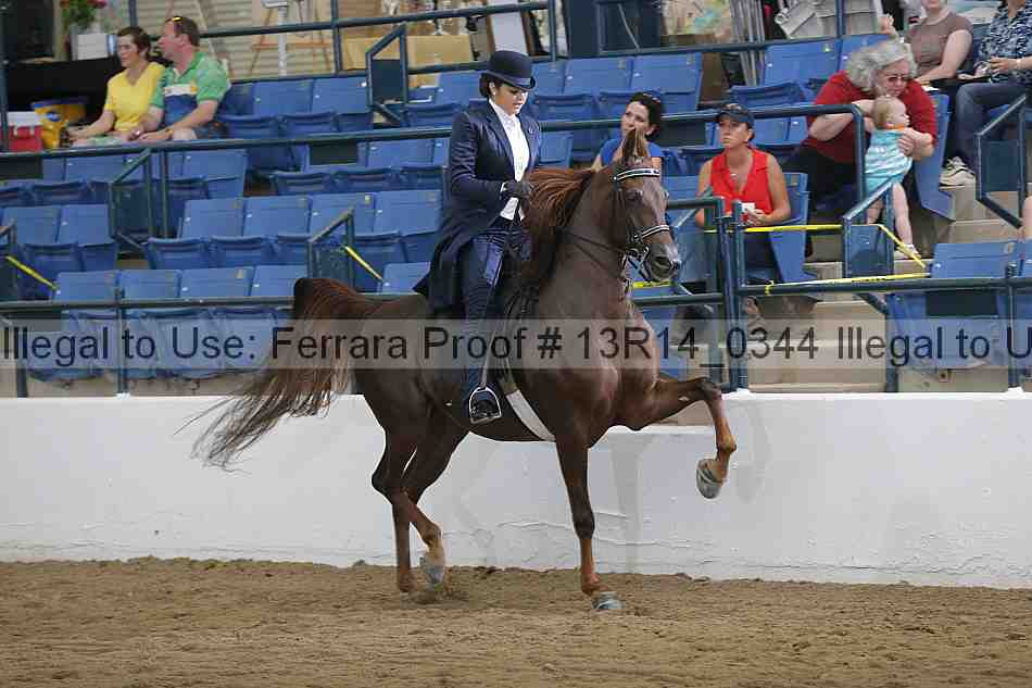Proof 13r14_0344