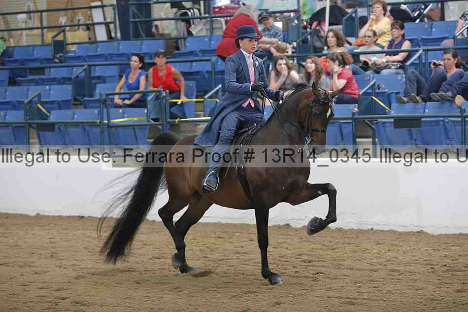 Proof 13r14_0345