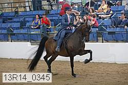 13r14_0345 proof