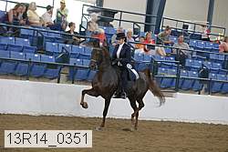 13r14_0351 proof