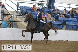13r14_0352 proof