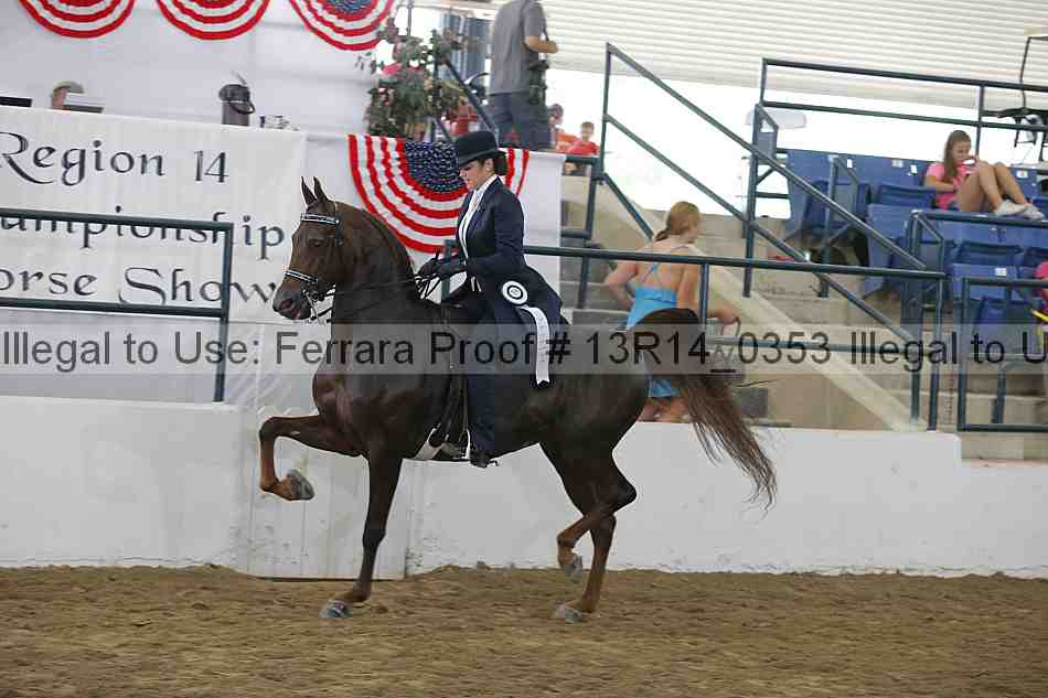 Proof 13r14_0353