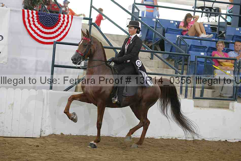 Proof 13r14_0356