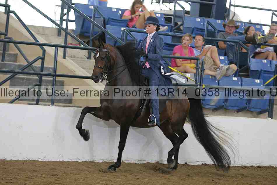Proof 13r14_0358