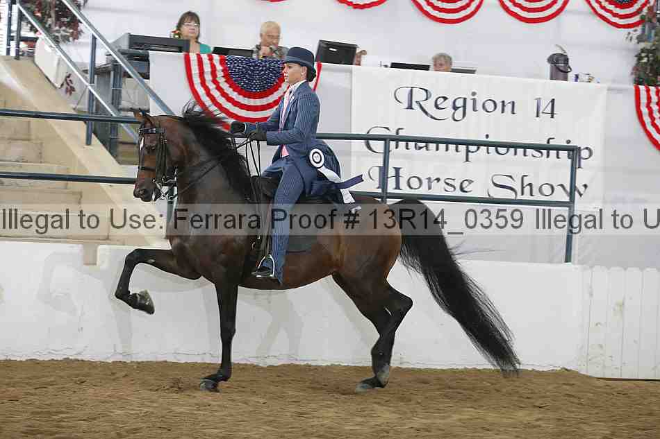 Proof 13r14_0359