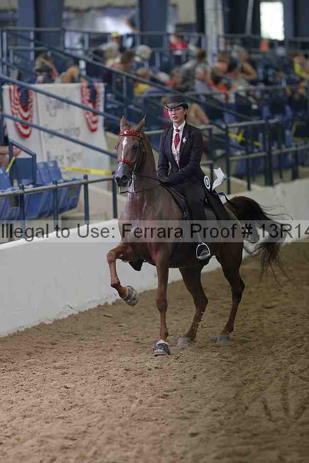 Proof 13r14_0360
