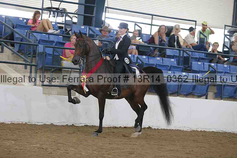 Proof 13r14_0362
