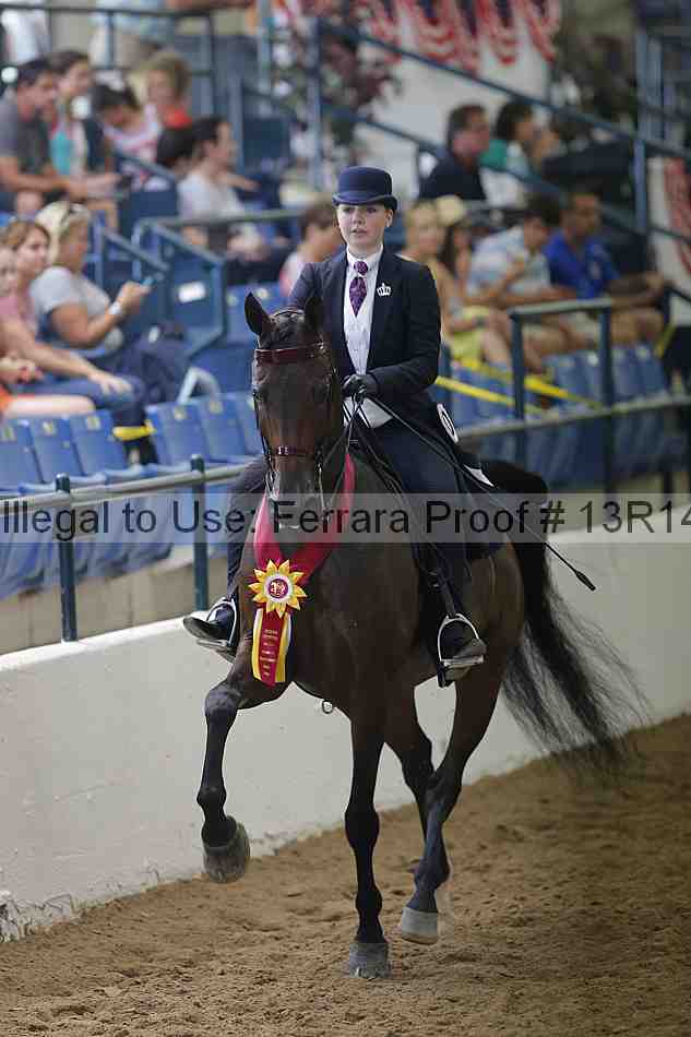 Proof 13r14_0364