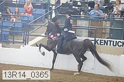 13r14_0365 proof
