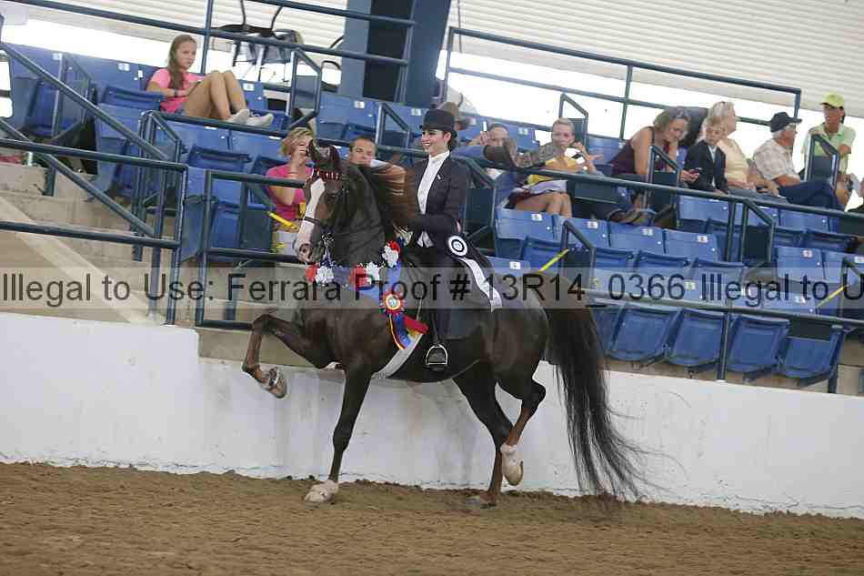 Proof 13r14_0366