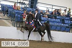 13r14_0366 proof
