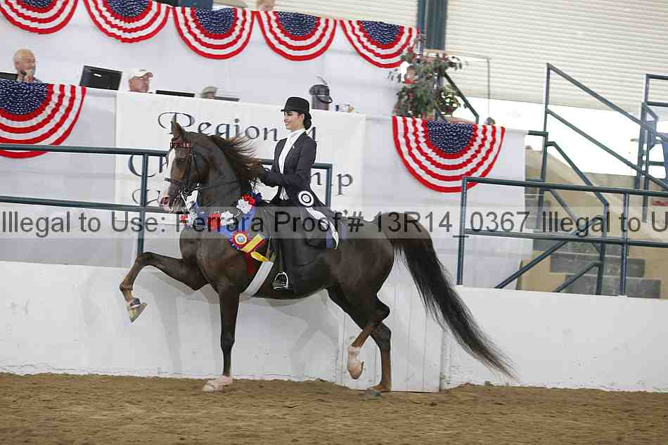 Proof 13r14_0367