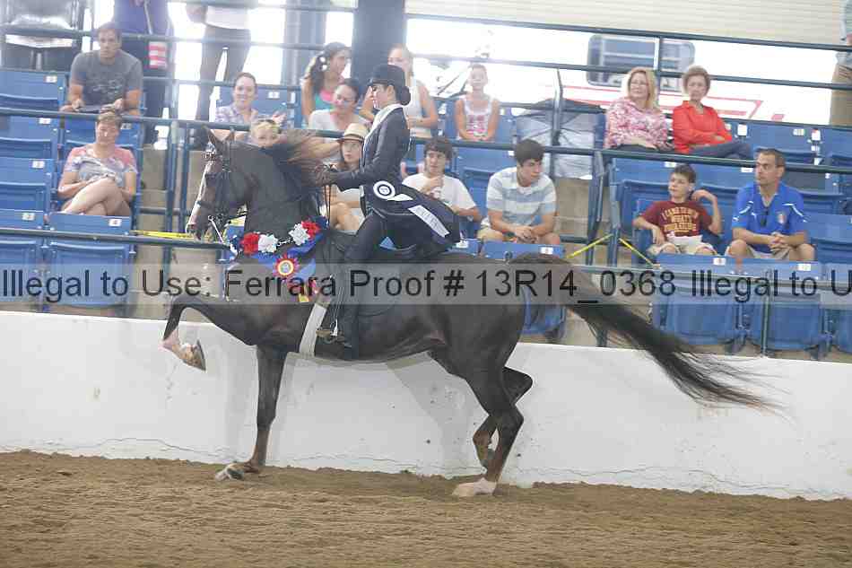 Proof 13r14_0368