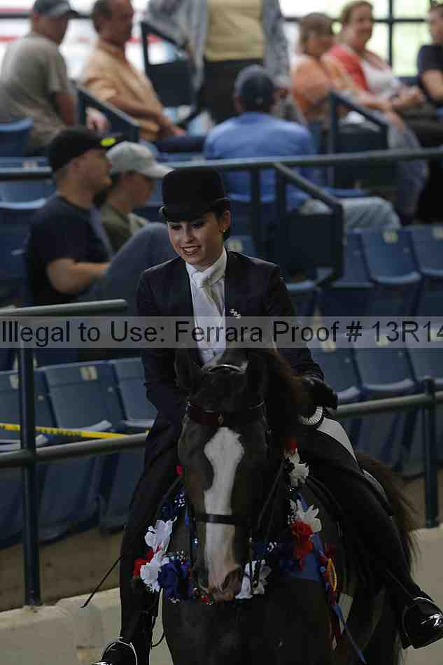 Proof 13r14_0371