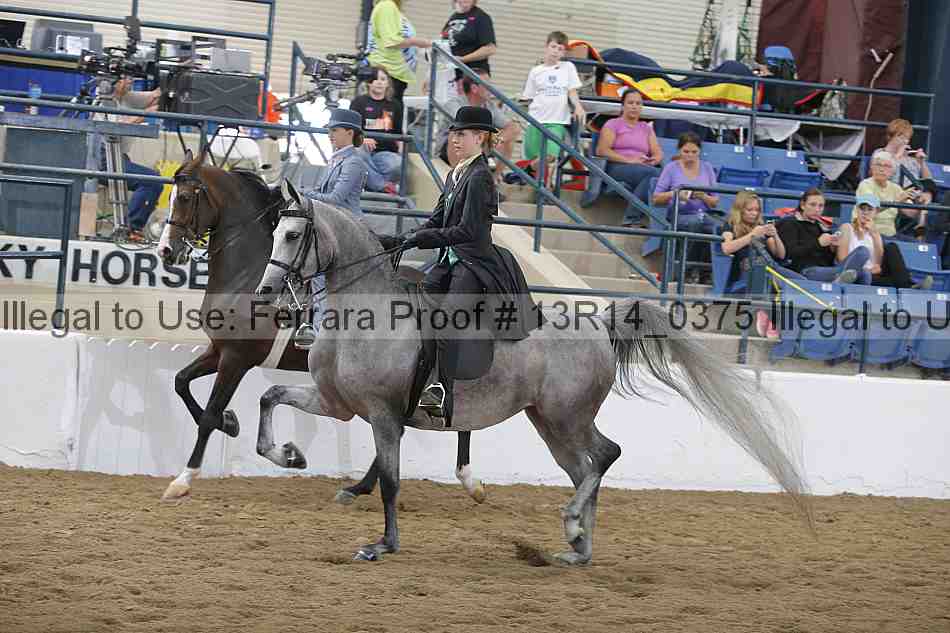 Proof 13r14_0375