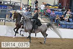 13r14_0375 proof