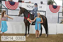 13r14_0383 proof
