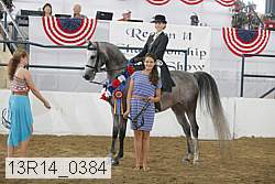 13r14_0384 proof