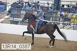 13r14_0387 proof