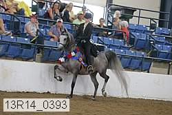 13r14_0393 proof