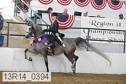 13r14_0394 proof