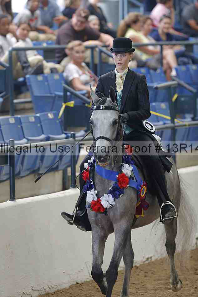 Proof 13r14_0396