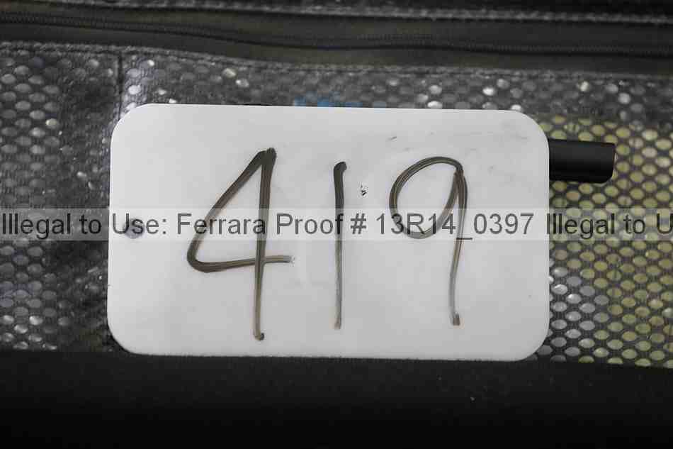 Proof 13r14_0397
