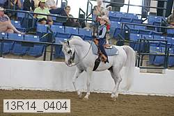 13r14_0404 proof