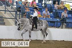 13r14_0414 proof