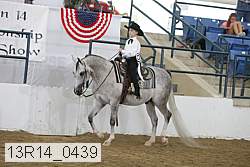 13r14_0439 proof