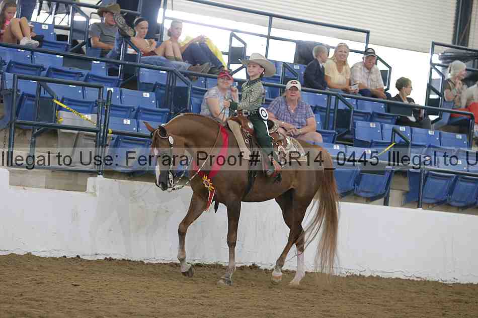 Proof 13r14_0445
