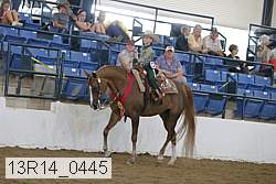 13r14_0445 proof