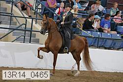 13r14_0465 proof