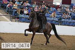 13r14_0474 proof