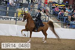 13r14_0480 proof