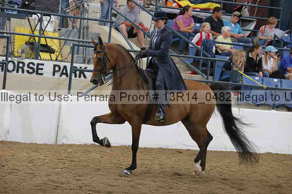 Proof 13r14_0482