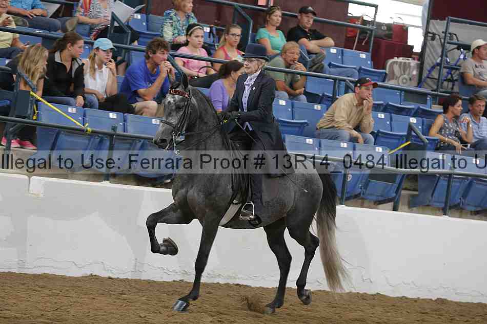 Proof 13r14_0484