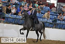 13r14_0484 proof