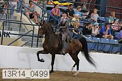 13r14_0499 proof