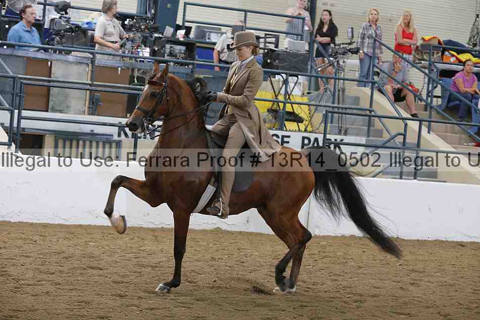 Proof 13r14_0502