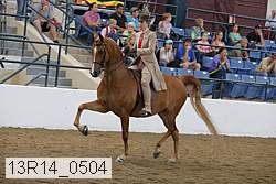 13r14_0504 proof