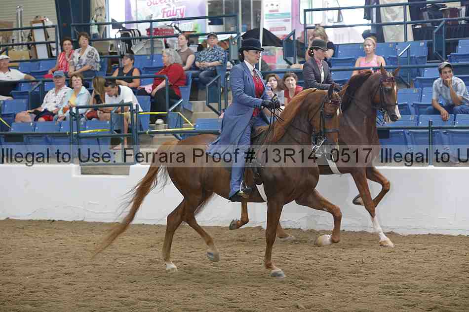 Proof 13r14_0517